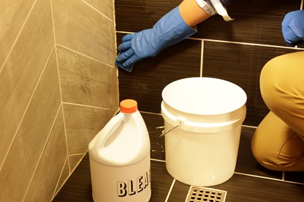 kill mold and mildew