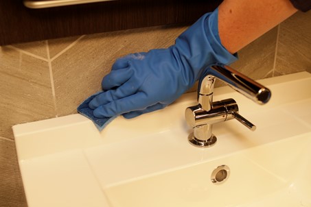 kill mold and mildew